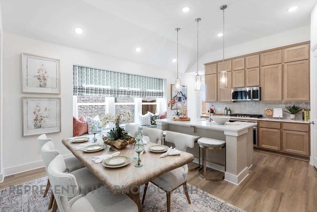 27019 Golden Isle Ln, Katy, TX 77493 - kitchen featuring stainless steel appliances, decorative backsplash, wood finished floors, light countertops, and plenty of natural light