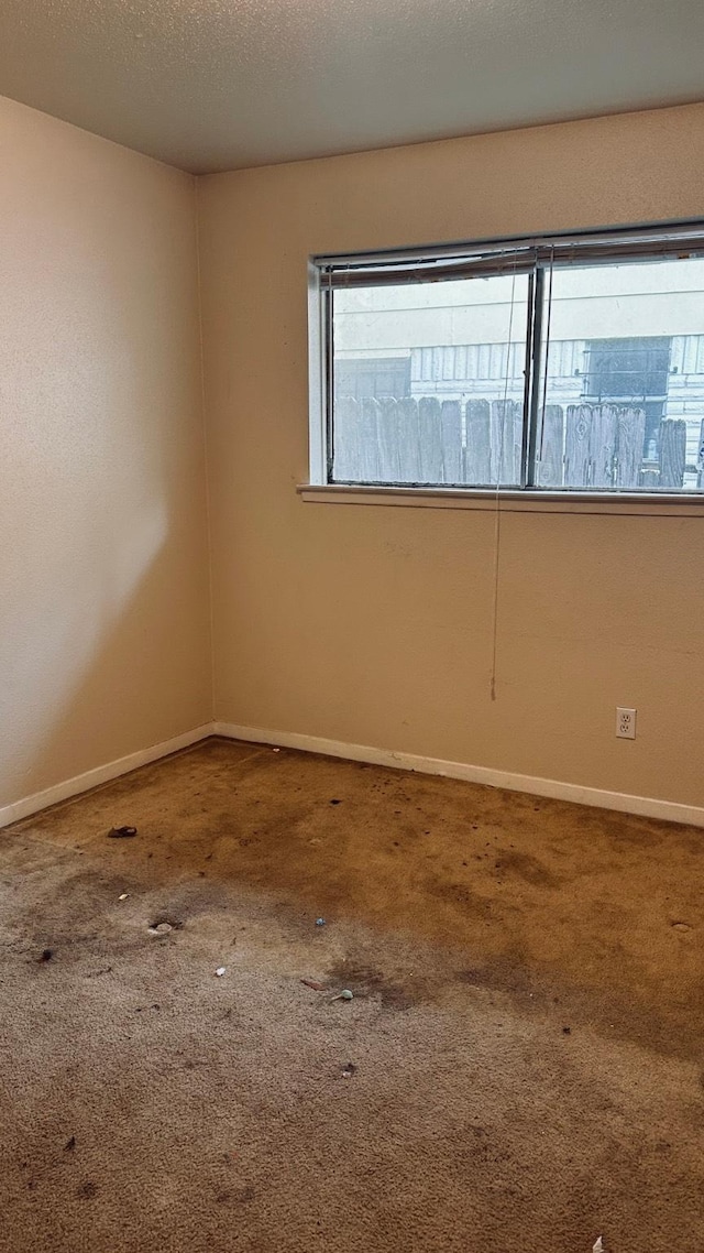 10126 Pine Moss Dr, Houston, TX 77040 - carpeted empty room with baseboards