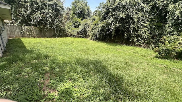 10126 Pine Moss Dr, Houston, TX 77040 - photo 19