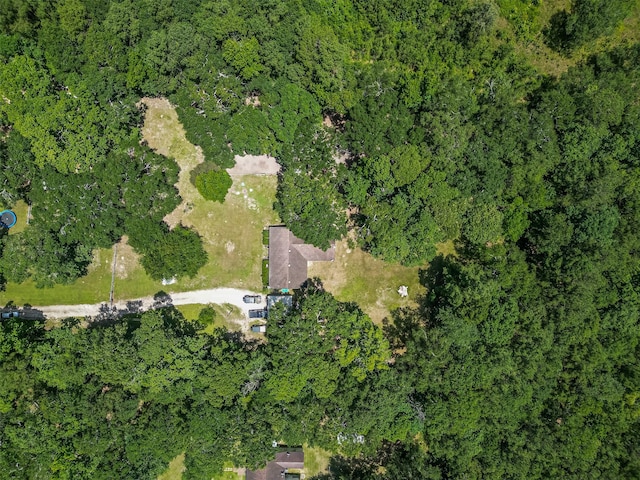 200 Little Pine Valley Rd, Cleveland, TX 77328 - aerial overview of property's location