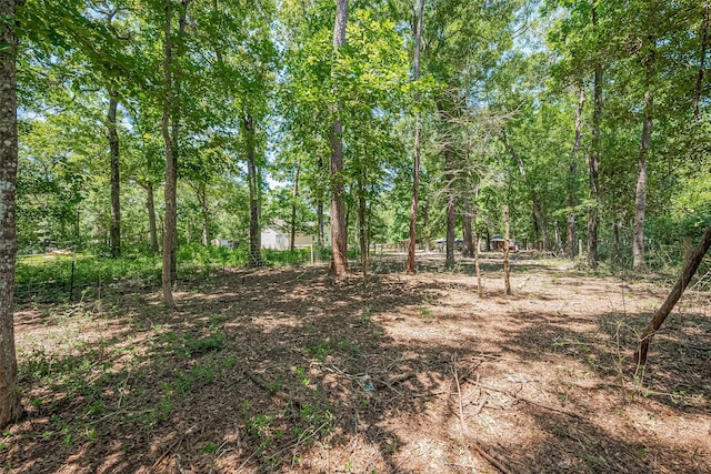 200 Little Pine Valley Rd, Cleveland, TX 77328 - view of undeveloped land