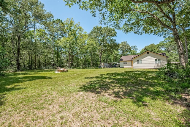 200 Little Pine Valley Rd, Cleveland, TX 77328 - view of grassy yard