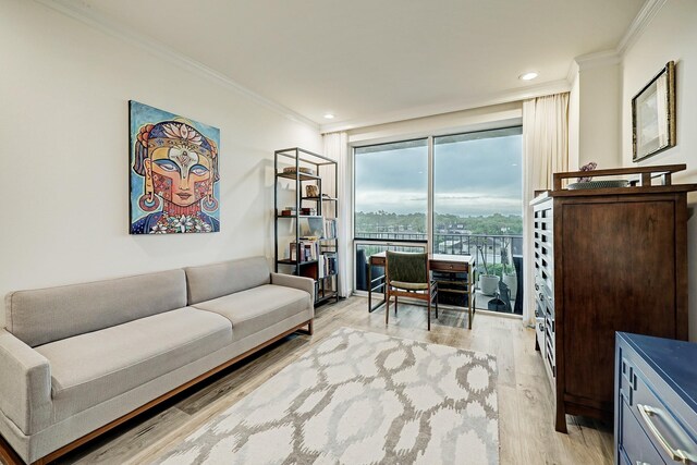 2200 Willowick Rd Unit 4E, Houston, TX 77027 - living room featuring crown molding, light wood-type flooring, and recessed lighting