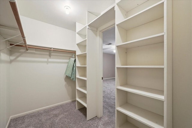 5210 Linda Ln, Beaumont, TX 77708 - walk in closet with carpet flooring