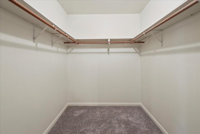 5210 Linda Ln, Beaumont, TX 77708 - spacious closet with carpet flooring