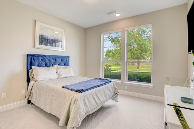 2419 Lowndes Pt, Missouri City, TX 77459 - photo 9