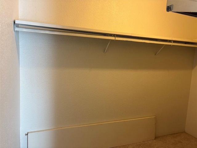 17230 Imperial Valley Dr Unit 24, Houston, TX 77060 - view of walk in closet