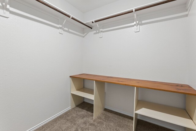 5710 Pampus Prairie Rd, Katy, TX 77493 - walk in closet with carpet