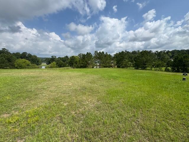 37 Silver Lakes Dr, Huntsville, TX 77340 - photo 4