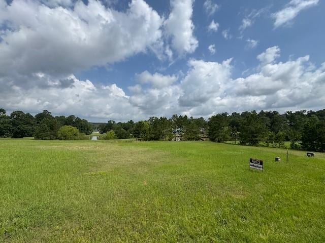 37 Silver Lakes Dr, Huntsville, TX 77340 - photo 5