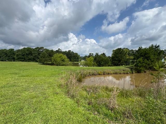 37 Silver Lakes Dr, Huntsville, TX 77340 - photo 7
