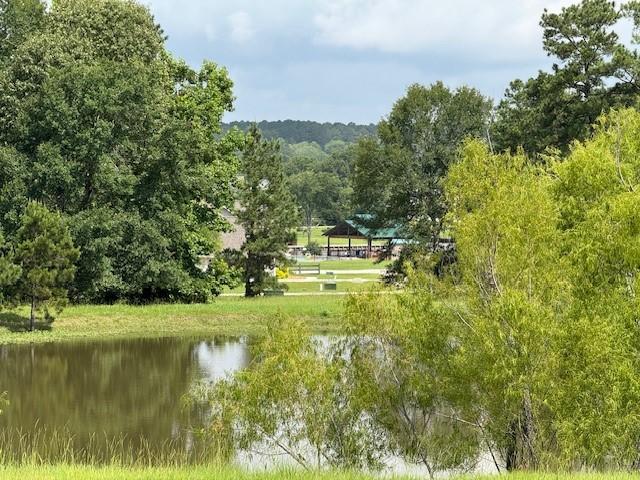 37 Silver Lakes Dr, Huntsville, TX 77340 - photo 9