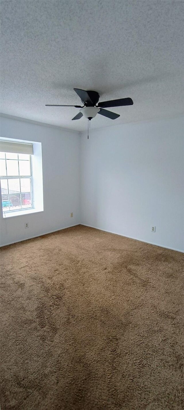 3131 SW Fwy Unit 49, Houston, TX 77098 - photo 13