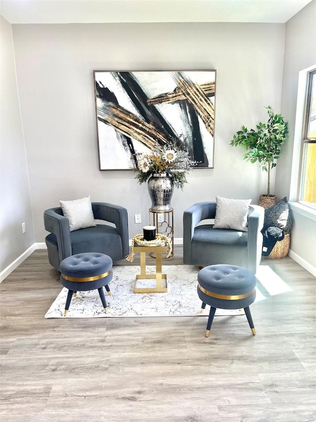 863 Dolly Wright St, Houston, TX 77088 - living area featuring baseboards and wood finished floors