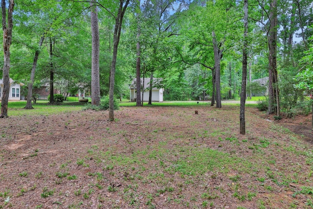 90 N Royale Greens Dr, Coldspring, TX 77331
