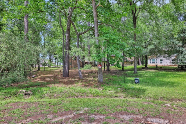 90 N Royale Greens Dr, Coldspring, TX 77331