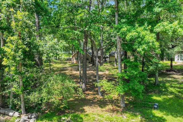 90 N Royale Greens Dr, Coldspring, TX 77331
