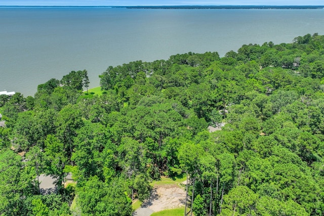 90 N Royale Greens Dr, Coldspring, TX 77331