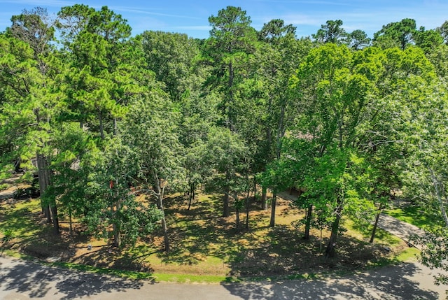 90 N Royale Greens Dr, Coldspring, TX 77331