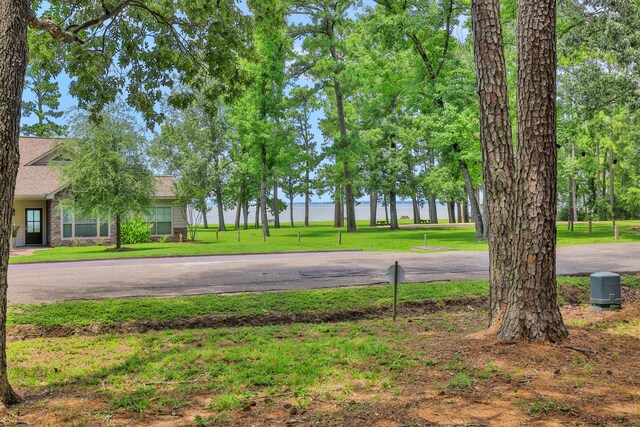 90 N Royale Greens Dr, Coldspring, TX 77331
