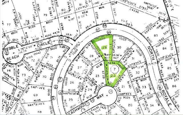 90 N Royale Greens Dr, Coldspring, TX 77331