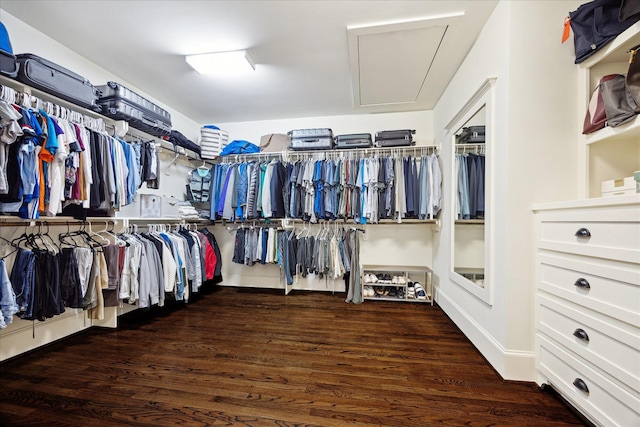 1136 Nadine St, Houston, TX 77009 - walk in closet featuring attic access and wood finished floors
