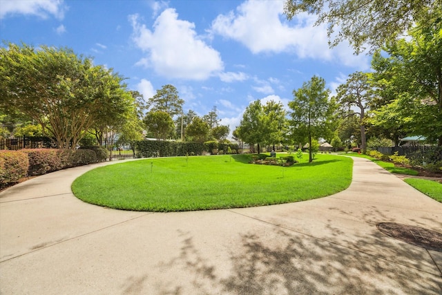 818 Garden Rose Ln, Houston, TX 77018 - view of community
