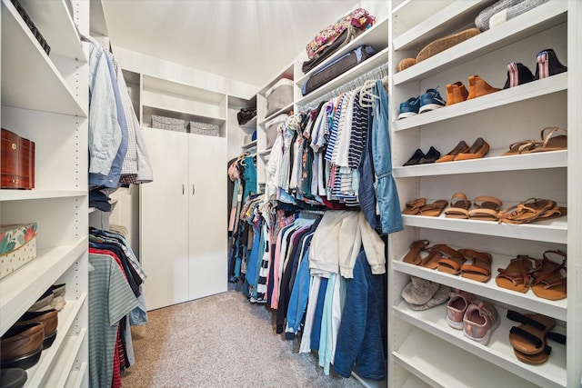 818 Garden Rose Ln, Houston, TX 77018 - spacious closet with carpet