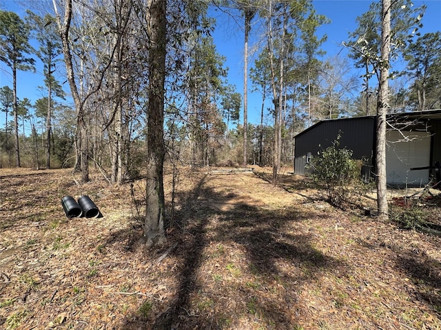 000 Old Fm 705, Broaddus, TX 75929 - view of yard