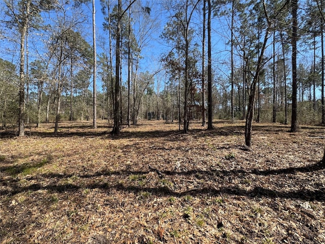 000 Old Fm 705, Broaddus, TX 75929 - view of yard