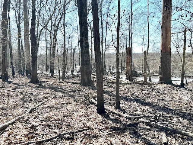 000 Old Fm 705, Broaddus, TX 75929 - view of undeveloped land