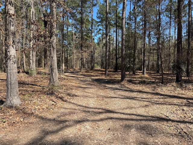 000 Old Fm 705, Broaddus, TX 75929 - view of street featuring a wooded view