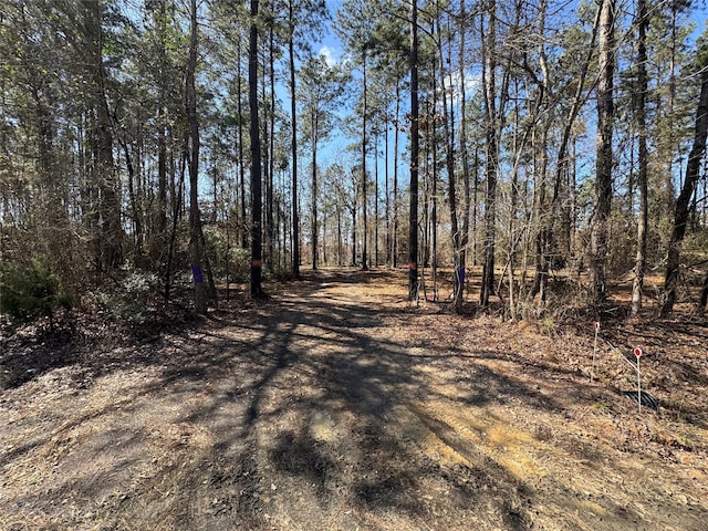 000 Old Fm 705, Broaddus, TX 75929 - view of street