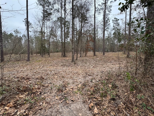 000 Old Fm 705, Broaddus, TX 75929 - view of wooded area