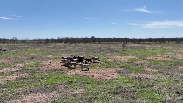 40365 Mt Zion Rd, Pattison, TX 77423