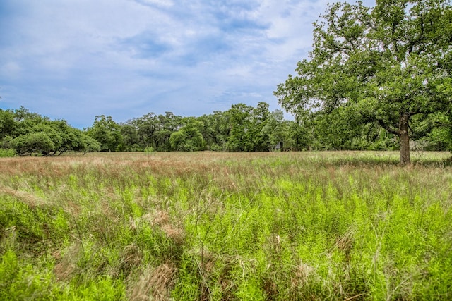 TBD Cr 125, Hallettsville, TX 77964 - photo 1
