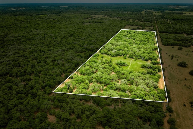 TBD Cr 125, Hallettsville, TX 77964 - photo 6