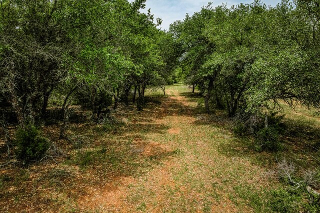 TBD Cr 125, Hallettsville, TX 77964 - photo 4