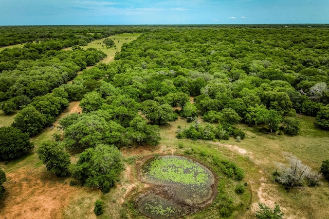 TBD Cr 125, Hallettsville, TX 77964 - photo 5