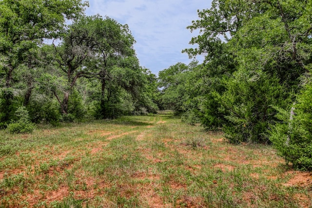 TBD Cr 125, Hallettsville, TX 77964 - photo 3