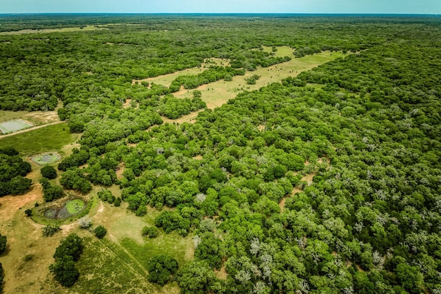 TBD Cr 125, Hallettsville, TX 77964 - photo 18