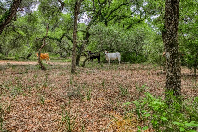 TBD Cr 125, Hallettsville, TX 77964 - photo 19