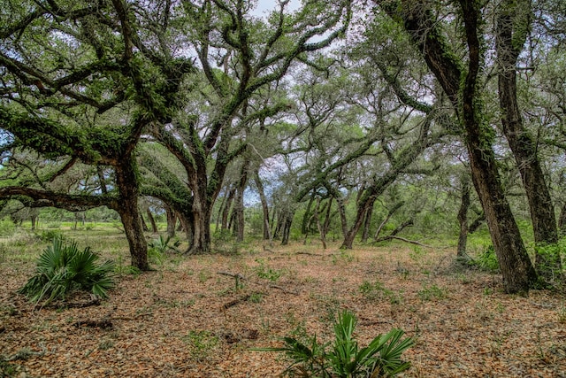 TBD Cr 125, Hallettsville, TX 77964 - photo 20