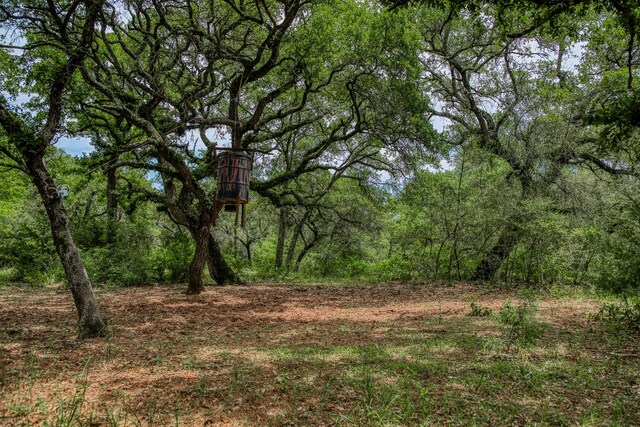 TBD Cr 125, Hallettsville, TX 77964 - photo 22