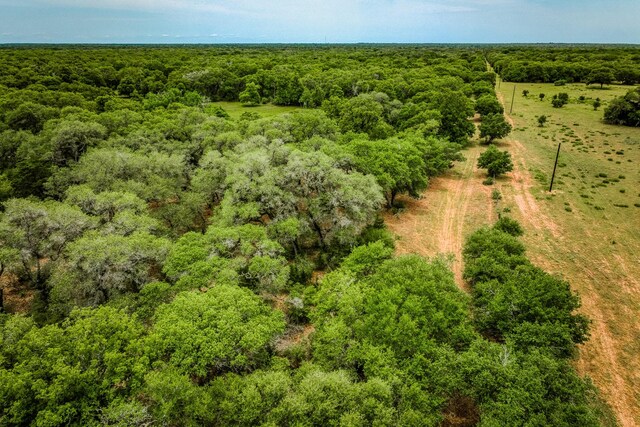 TBD Cr 125, Hallettsville, TX 77964 - photo 24