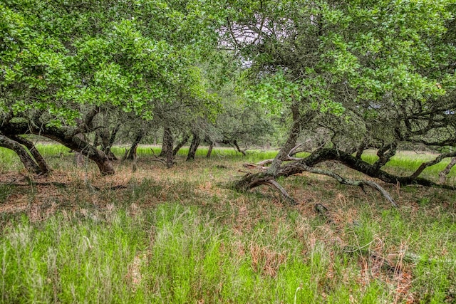 TBD Cr 125, Hallettsville, TX 77964 - photo 17