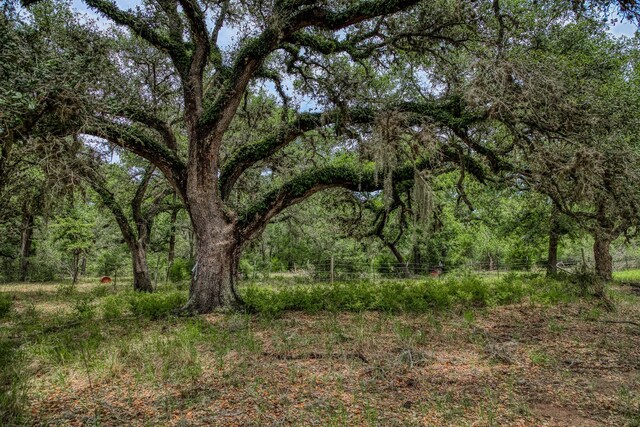 TBD Cr 125, Hallettsville, TX 77964 - photo 7