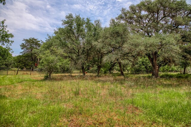 TBD Cr 125, Hallettsville, TX 77964 - photo 8