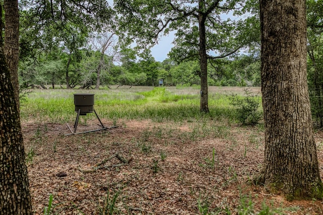 TBD Cr 125, Hallettsville, TX 77964 - photo 10