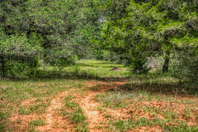 TBD Cr 125, Hallettsville, TX 77964 - photo 11